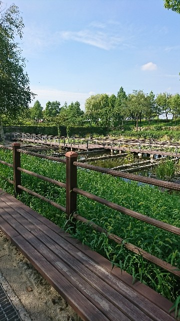 f:id:neco8smile:20190830161921j:plain f:id:neco8smile:20190830161921j:plain