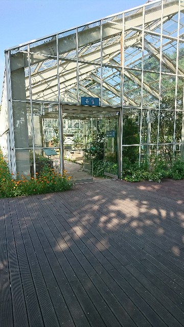 f:id:neco8smile:20190830162147j:plain f:id:neco8smile:20190830162147j:plain