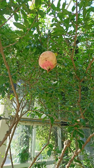 f:id:neco8smile:20190830162449j:plain f:id:neco8smile:20190830162449j:plain