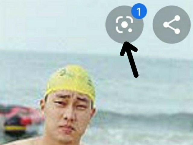 f:id:neco8smile:20190903172235j:plain f:id:neco8smile:20190903172235j:plain
