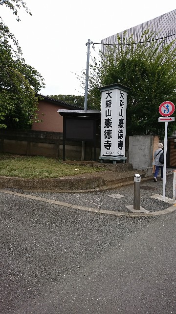 f:id:neco8smile:20190921152056j:plain f:id:neco8smile:20190921152056j:plain