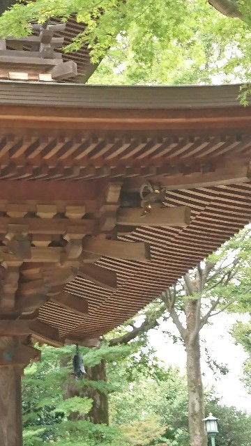 f:id:neco8smile:20190921153702j:plain f:id:neco8smile:20190921153702j:plain
