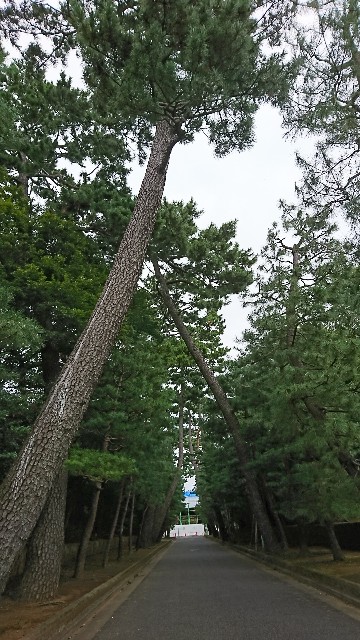 f:id:neco8smile:20190921153922j:plain f:id:neco8smile:20190921153922j:plain