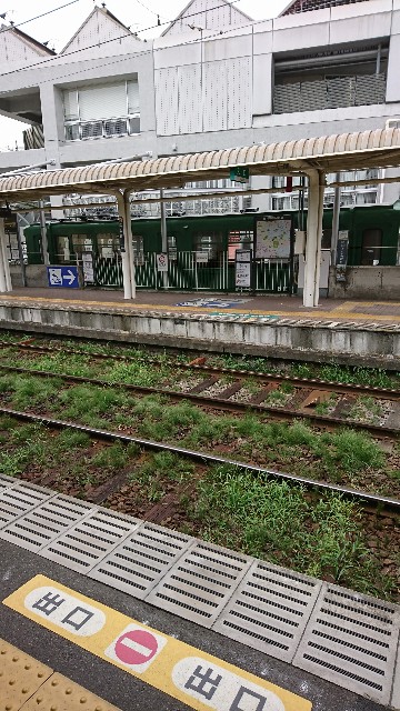 f:id:neco8smile:20190921154136j:plain f:id:neco8smile:20190921154136j:plain