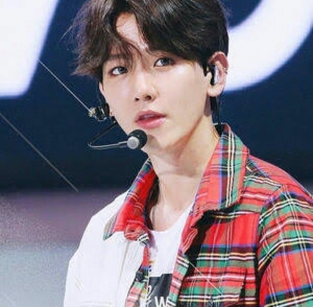 f:id:neco8smile:20191004100835j:plain f:id:neco8smile:20191004100835j:plain