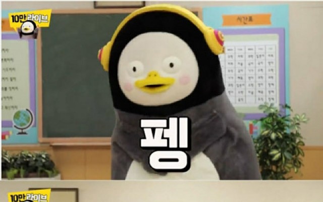 韓国で大人気のペンギン ペンス って何者 猫八のカッチノルジャ