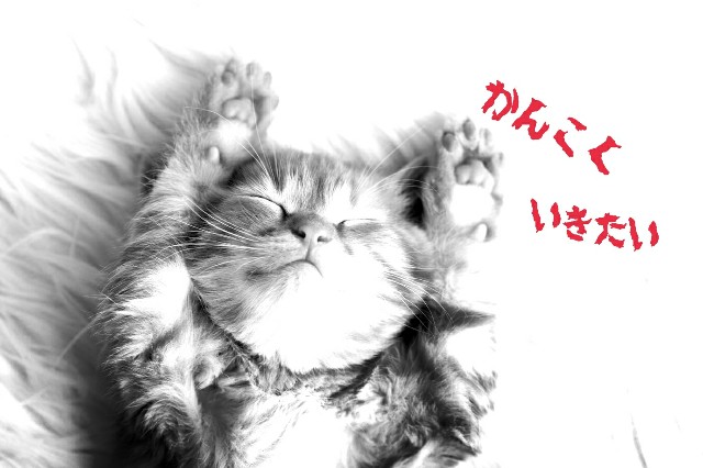 f:id:neco8smile:20200318193433j:plain