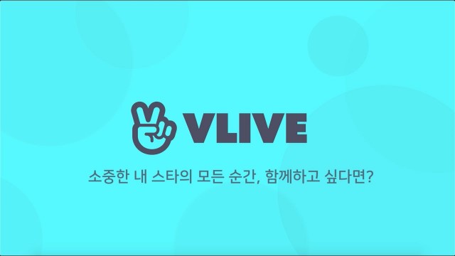 f:id:neco8smile:20200601114159j:plain