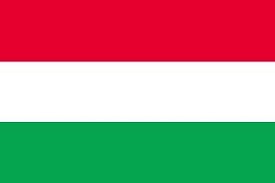 f:id:neco8smile:20220226124825j:image