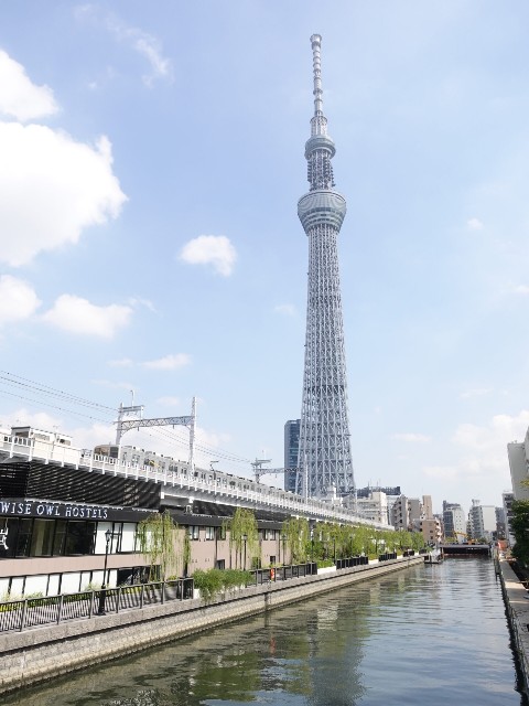 f:id:neco8smile:20230501215816j:image