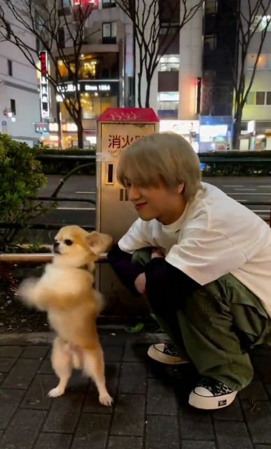 f:id:neco8smile:20230502163714j:image