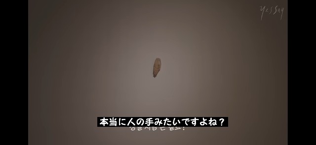 f:id:neco8smile:20230910214102j:image