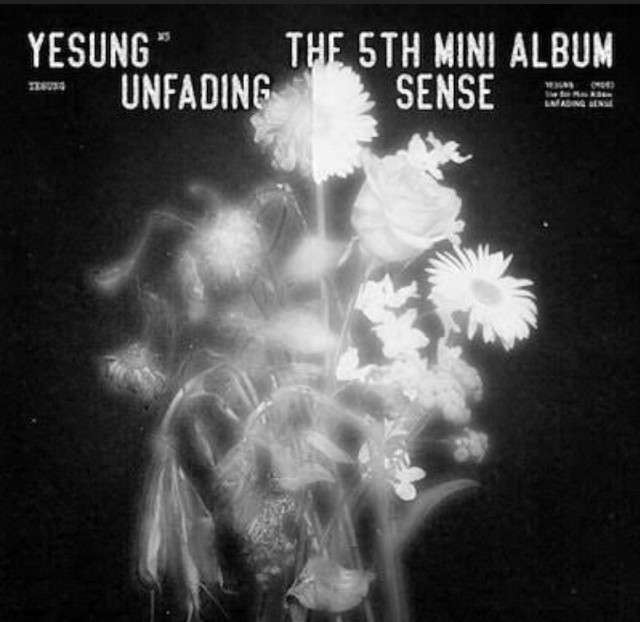 YESUNG 예성 The 5th Mini Album【Unfading Sense】 - 猫八の