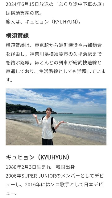 f:id:neco8smile:20240610132623j:image