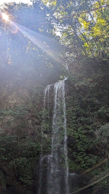 f:id:neco8smile:20240821133636j:image f:id:neco8smile:20240821133636j:image