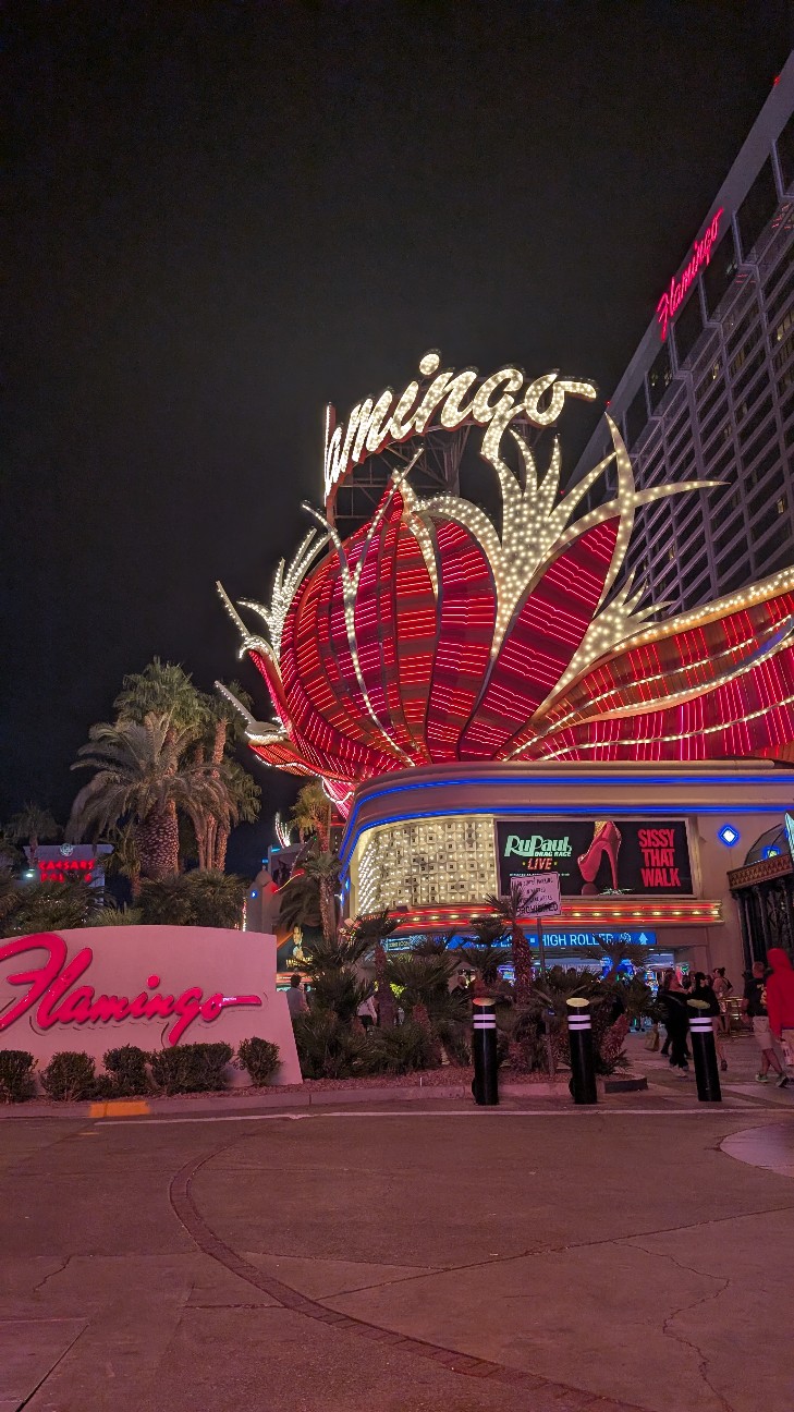 f:id:neco8smile:20251117181244j:image