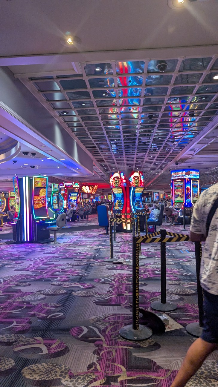 f:id:neco8smile:20251117181507j:image