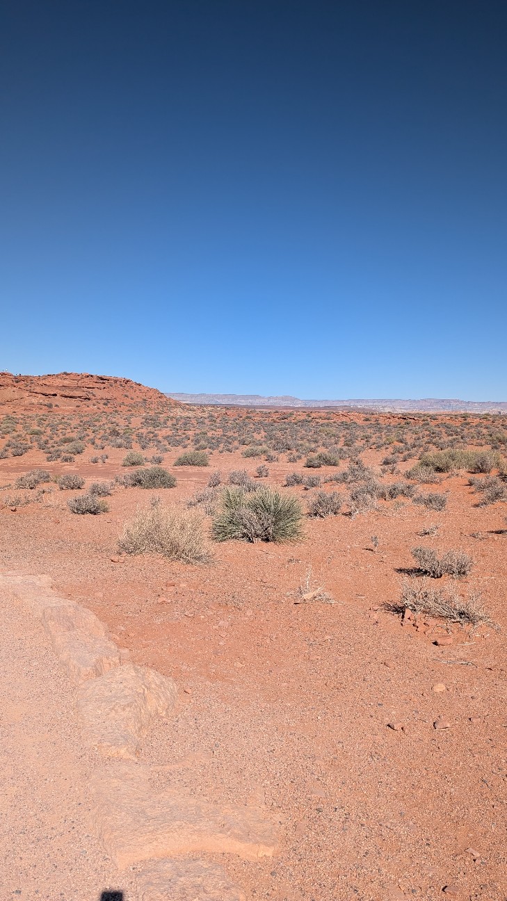 f:id:neco8smile:20251117185741j:image