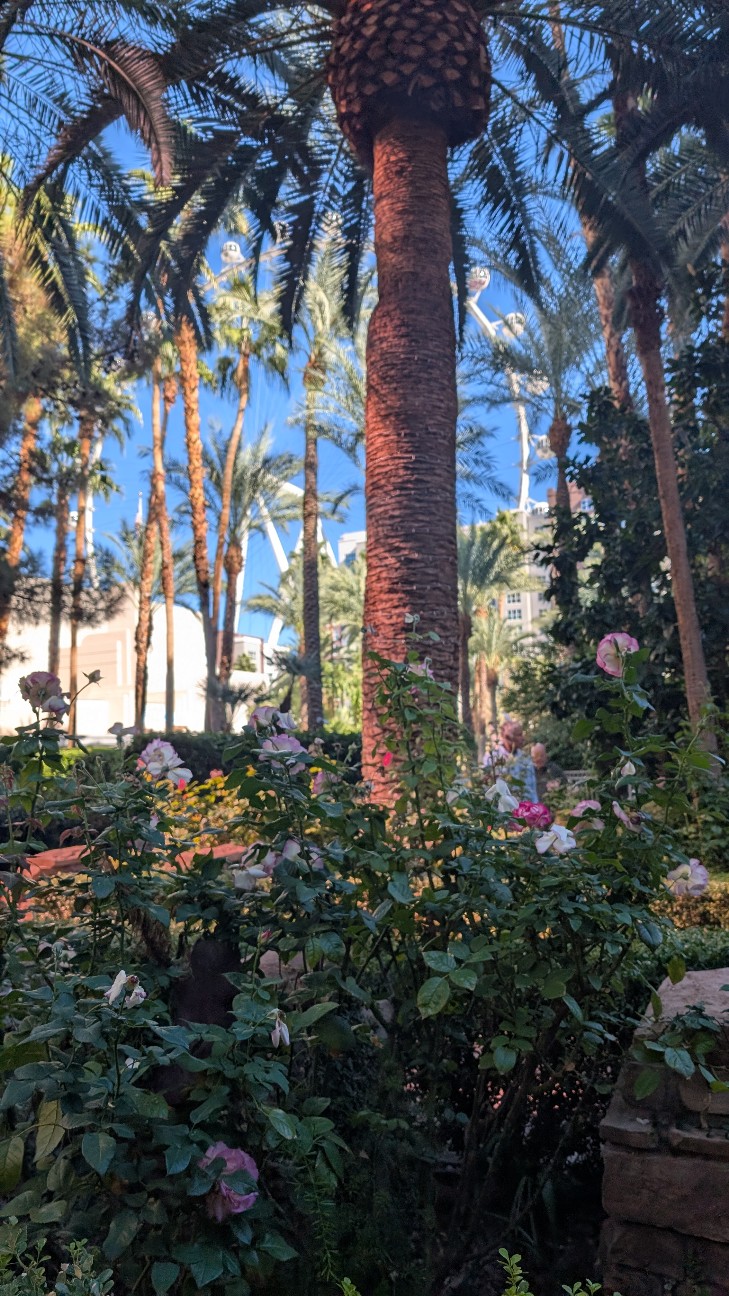 f:id:neco8smile:20251128135140j:image