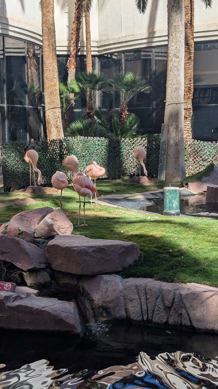 f:id:neco8smile:20251128135225j:image