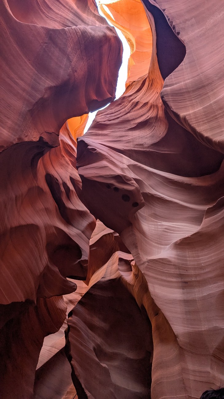 f:id:neco8smile:20251128142137j:image