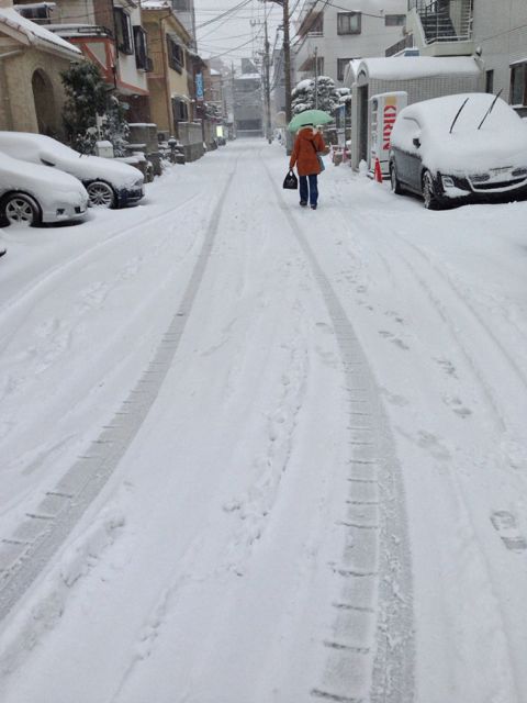f:id:necoduck:20140209170227j:image