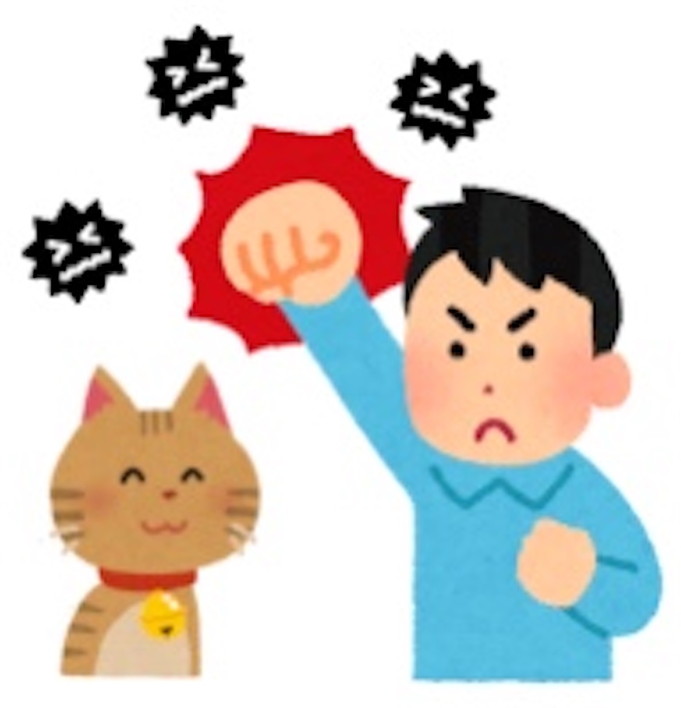 f:id:necohappy:20230307202724j:image f:id:necohappy:20230307202724j:image