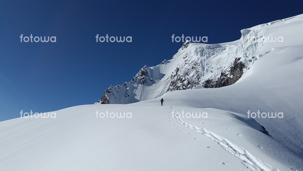 f:id:necojackarc:20161205234711j:plain f:id:necojackarc:20161205234711j:plain