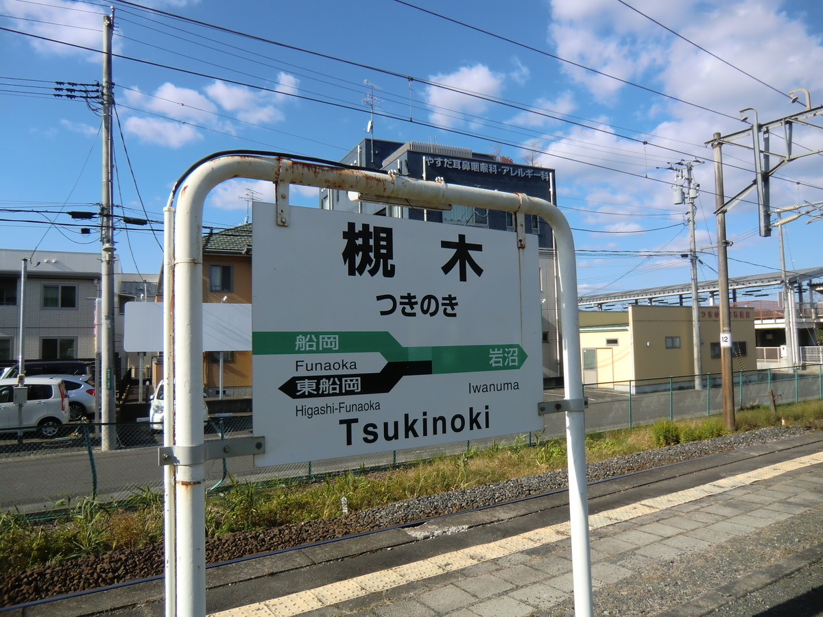 f:id:necokingyo:20201103103007j:plain f:id:necokingyo:20201103103007j:plain