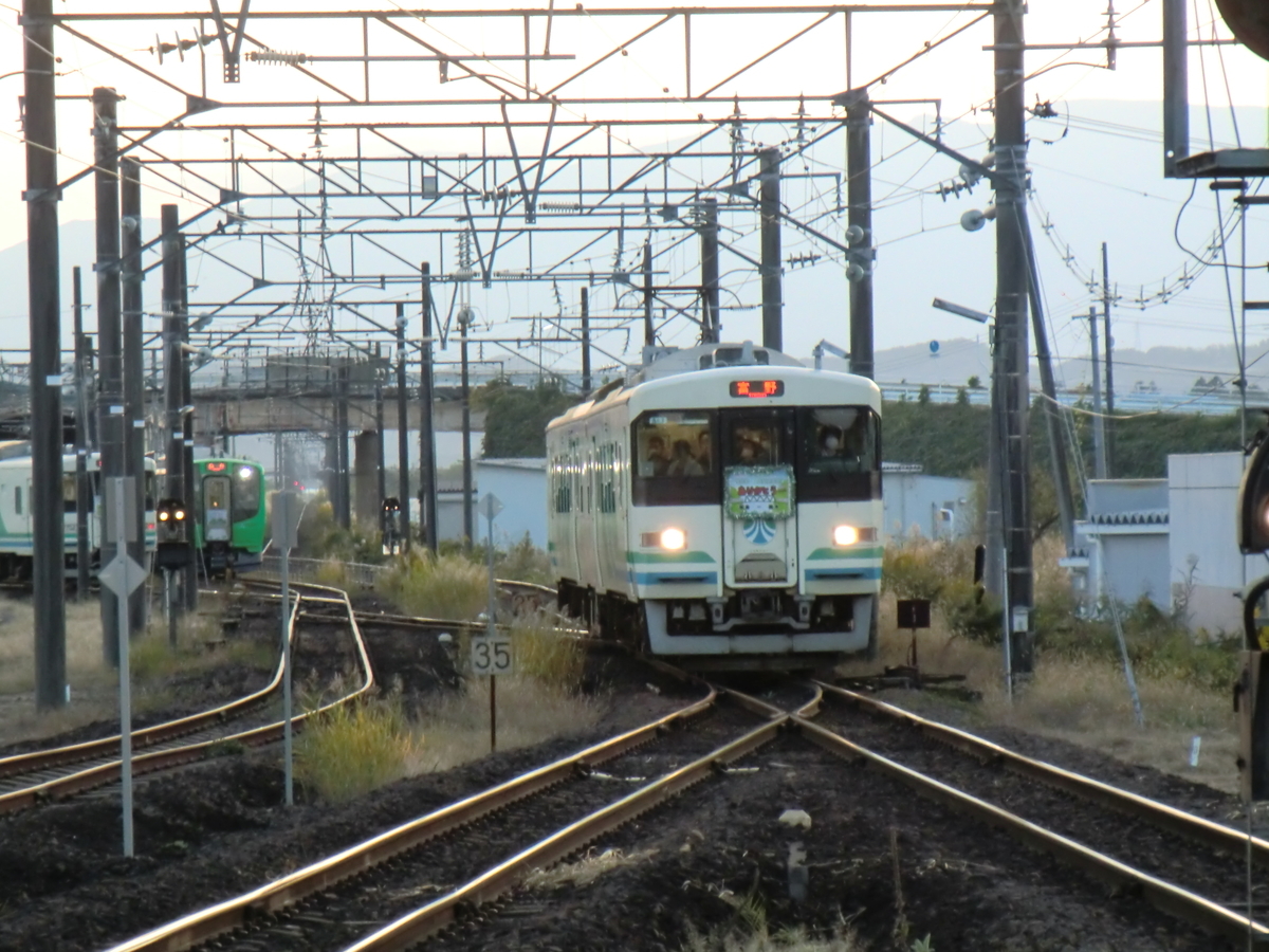 f:id:necokingyo:20201103105458j:plain f:id:necokingyo:20201103105458j:plain