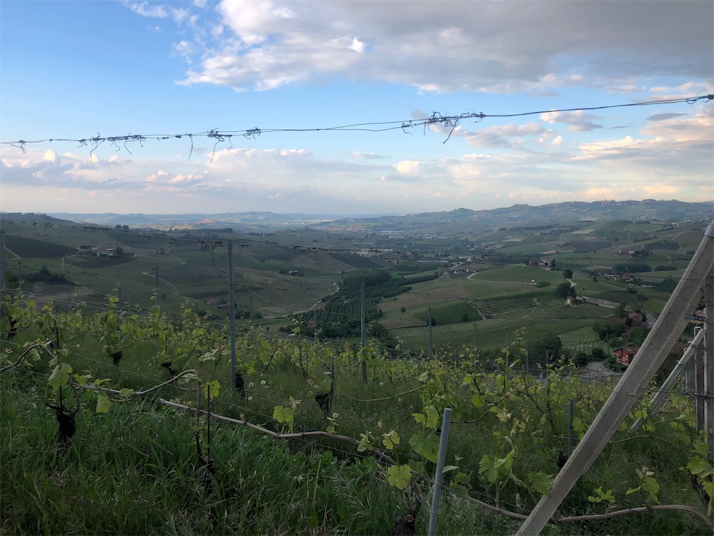 f:id:necomi1223:20190512231959j:image
