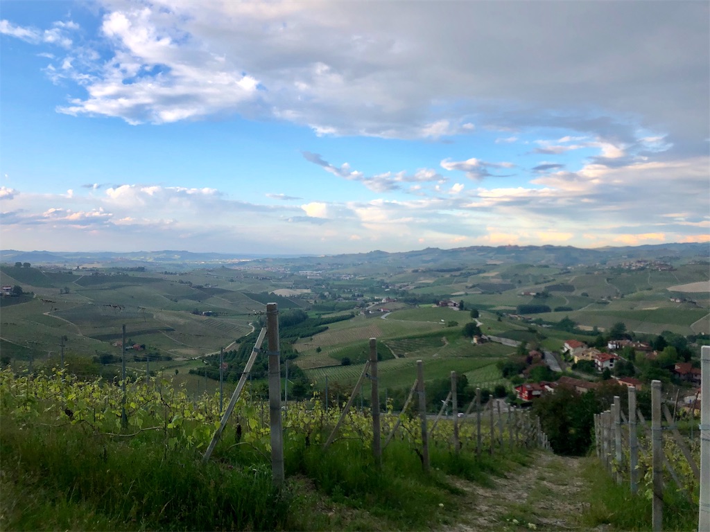 f:id:necomi1223:20190512232014j:image