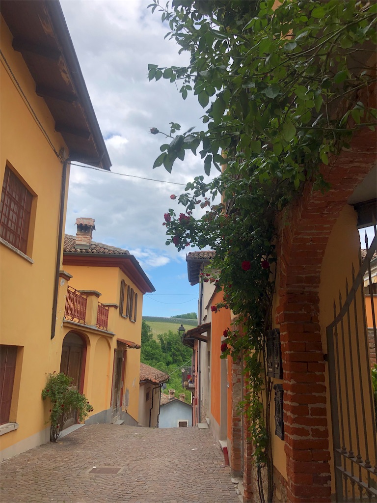 f:id:necomi1223:20190513002359j:image