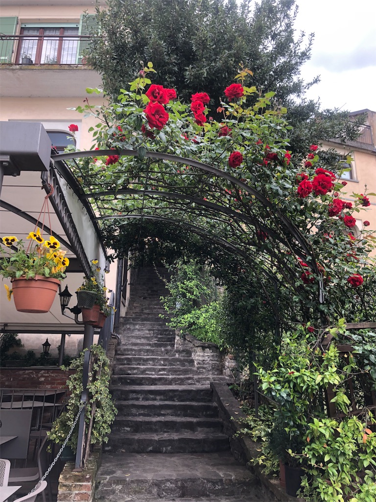 f:id:necomi1223:20190513002407j:image
