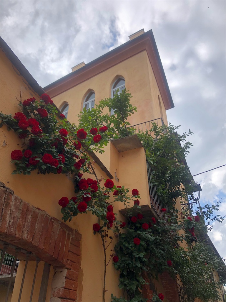 f:id:necomi1223:20190513002413j:image