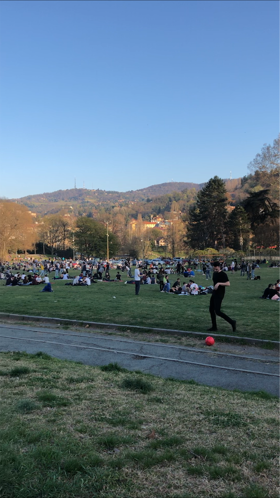 f:id:necomi1223:20190604062414p:image