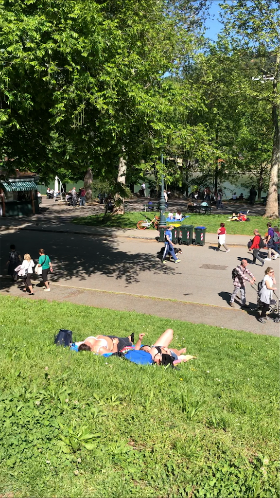 f:id:necomi1223:20190604062728p:image