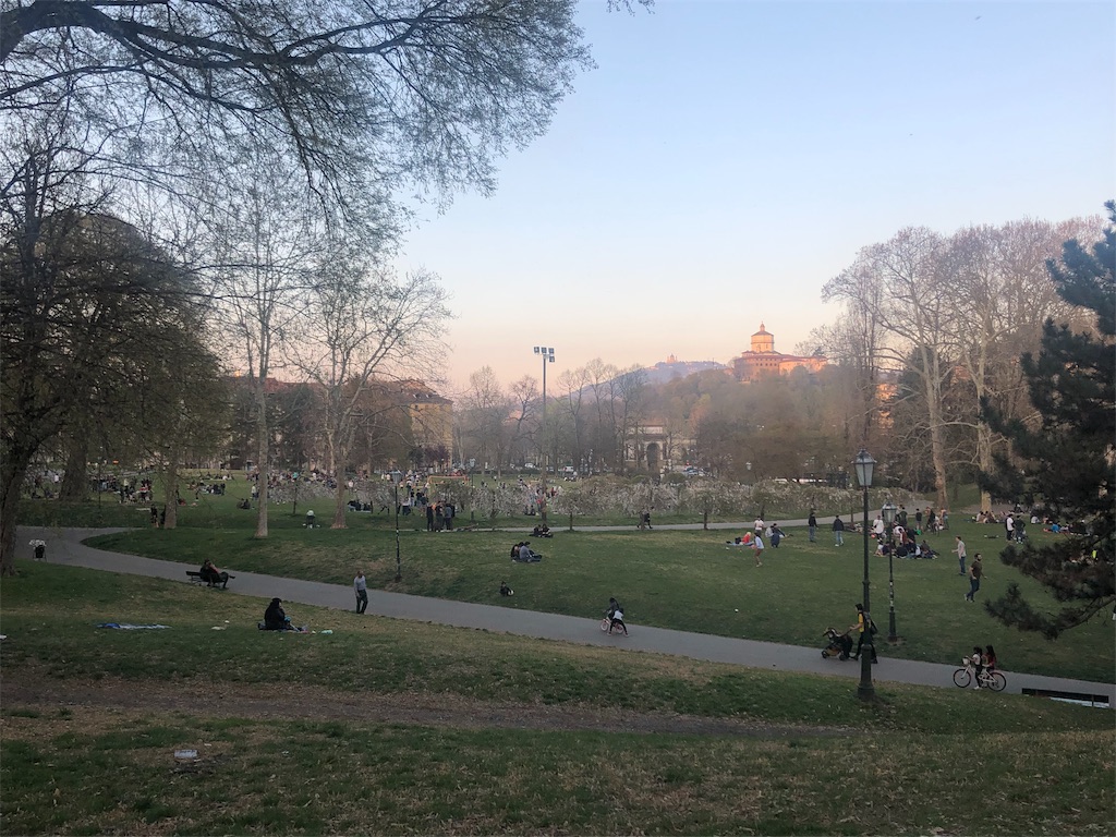 f:id:necomi1223:20190604063924j:image