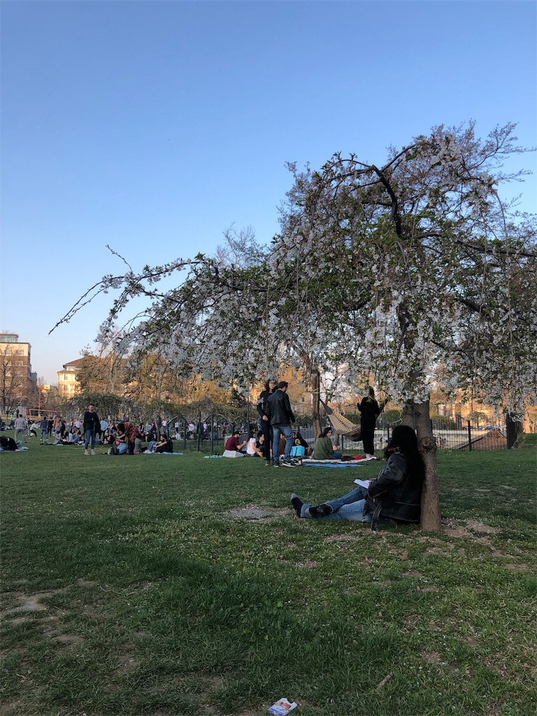 f:id:necomi1223:20190604063931j:image