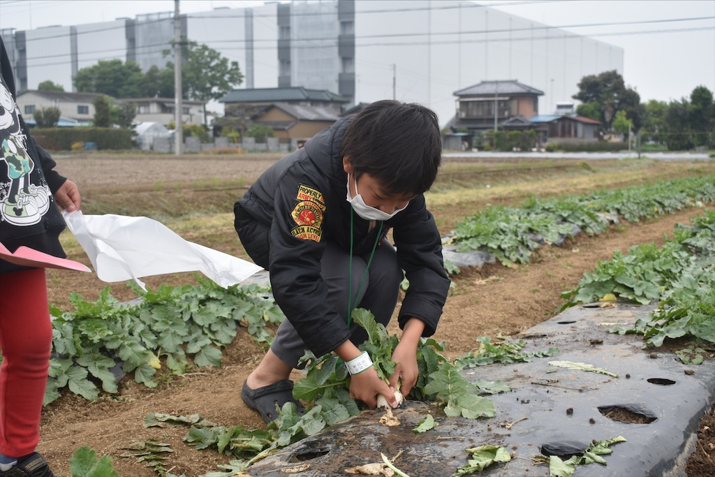 f:id:necomiko:20210509212553j:image f:id:necomiko:20210509212553j:image