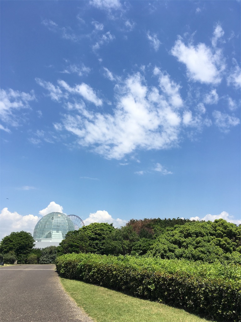 f:id:neconecom:20190612102151j:image f:id:neconecom:20190612102151j:image