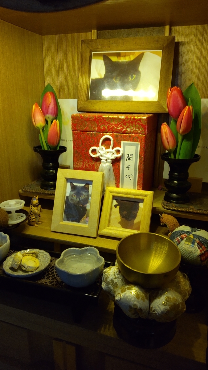 f:id:neconocox:20210125085223j:plain