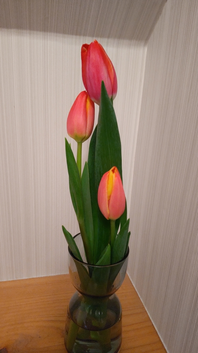 f:id:neconocox:20210125085342j:plain