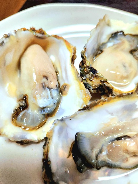 f:id:neconocox:20250902152322j:image