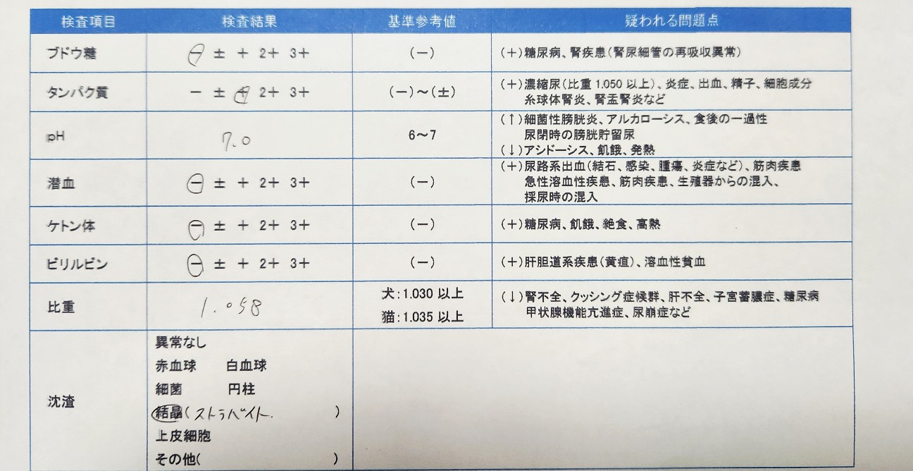 f:id:neconocox:20251202141941j:image f:id:neconocox:20251202141941j:image