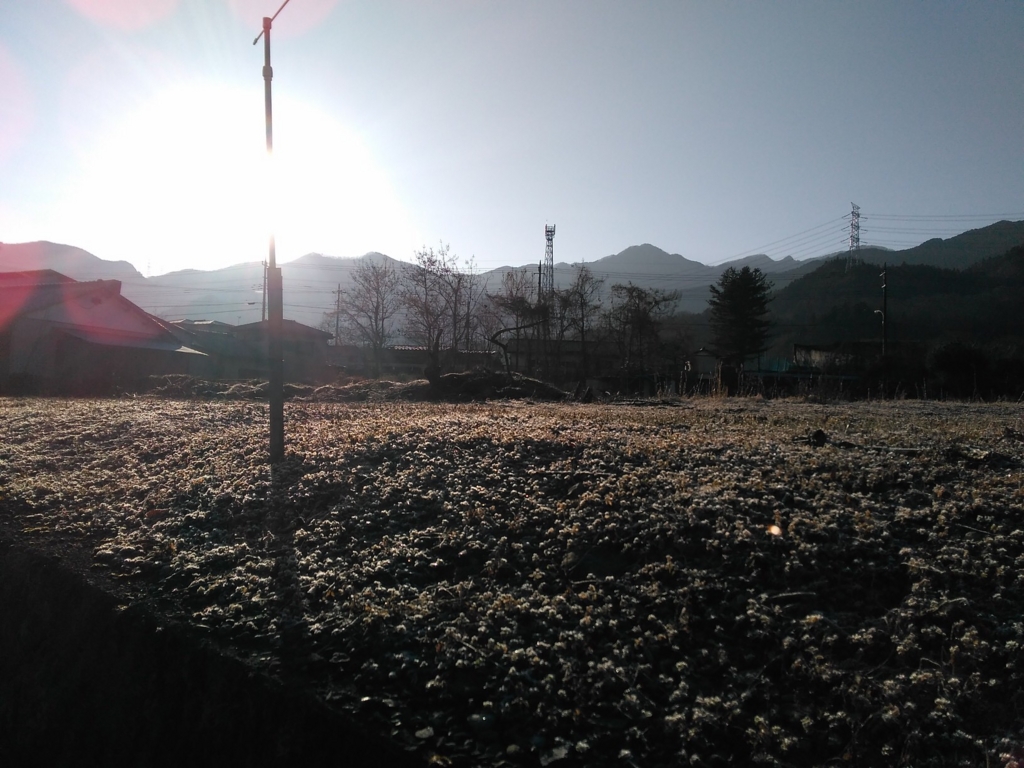f:id:neconos:20170104131326j:plain f:id:neconos:20170104131326j:plain