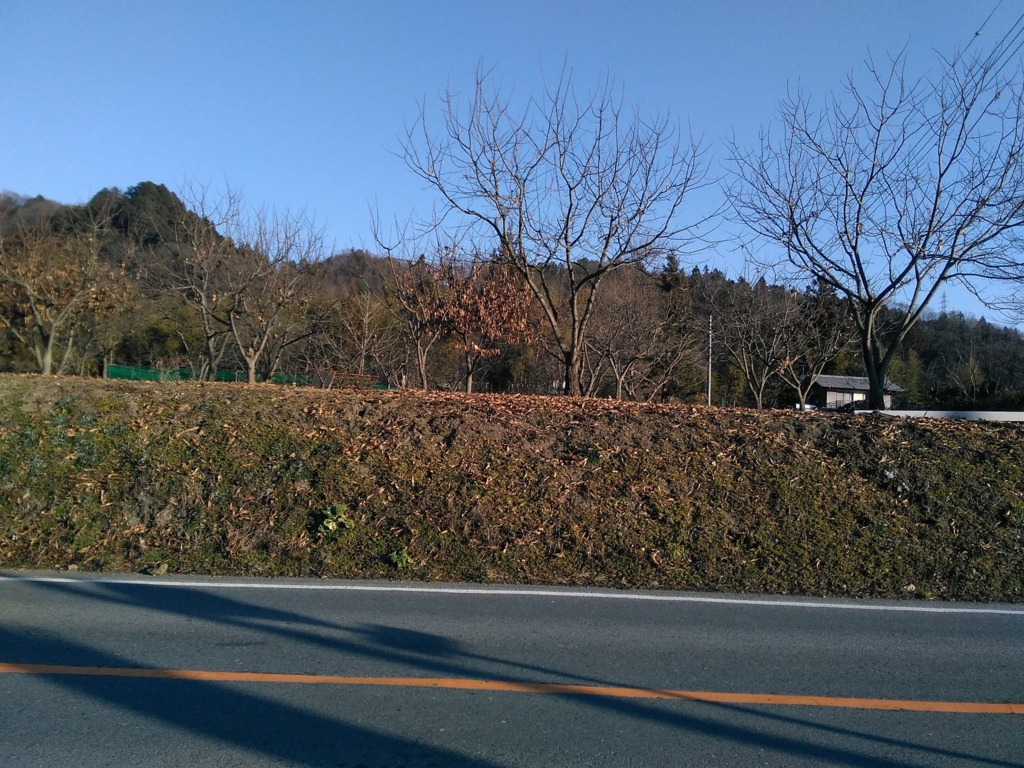 f:id:neconos:20170104131343j:plain f:id:neconos:20170104131343j:plain