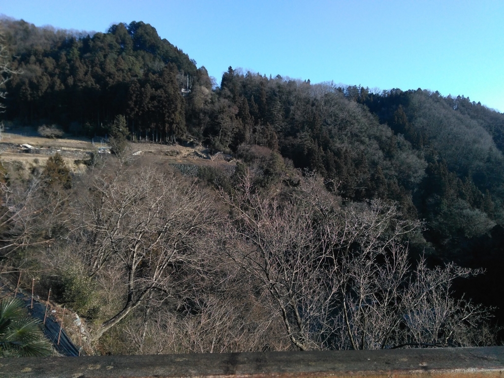 f:id:neconos:20170104131356j:plain f:id:neconos:20170104131356j:plain