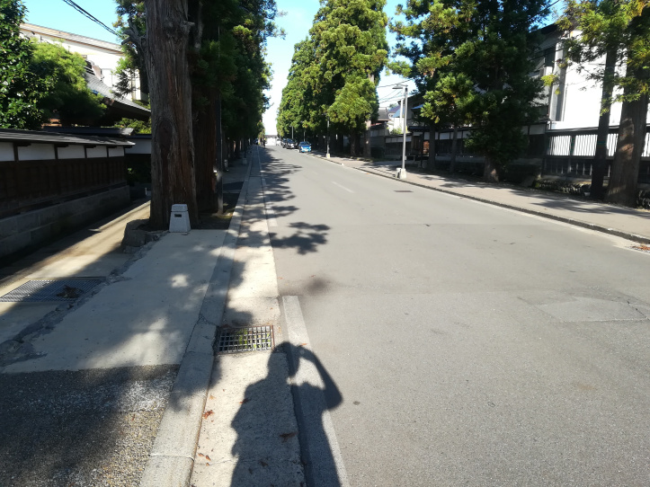 f:id:neconoteblog:20190104184643j:plain