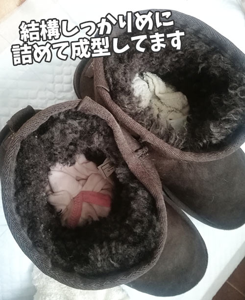 f:id:neconoteblog:20190220211848j:plain